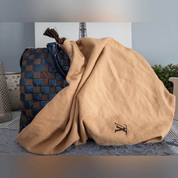 Louis Vuitton Paillettes Damier Ebene Speedy 30 w/Dustbag, Lock and Keys - Picture 17 of 17